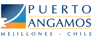 Puerto Angamos
